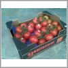 tomates