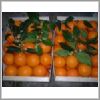 naranjas