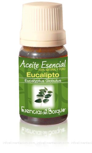 aceite esencial de eucalipto